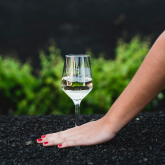 Vinos volcánicos de Lanzarote